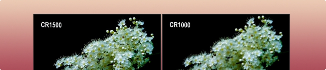 Structural Optimization